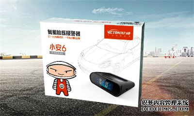 偉力通小安6太陽能胎壓監測